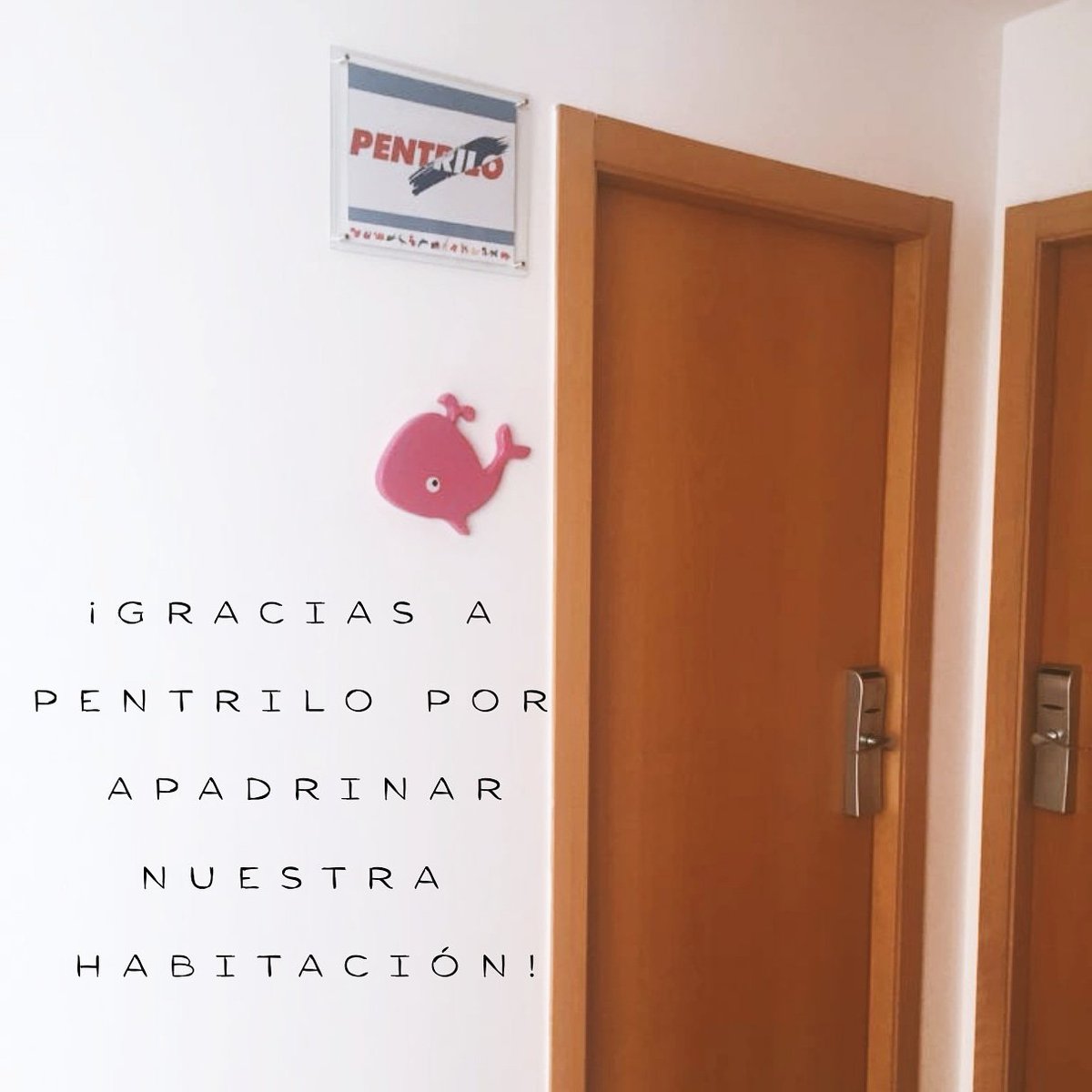 🔴 #APADRINA
Gracias <a href="/PentriloSL/">Pentrilo</a> por apadrinar la habitación #ballena de nuestra @casaronaldbarcelona Este acto es otro ejemplo de responsabilidad social que nos ayudará a seguir alojando familias #Mantenemosalasfamiliascerca  #keepingfamiliesclose  #gracias