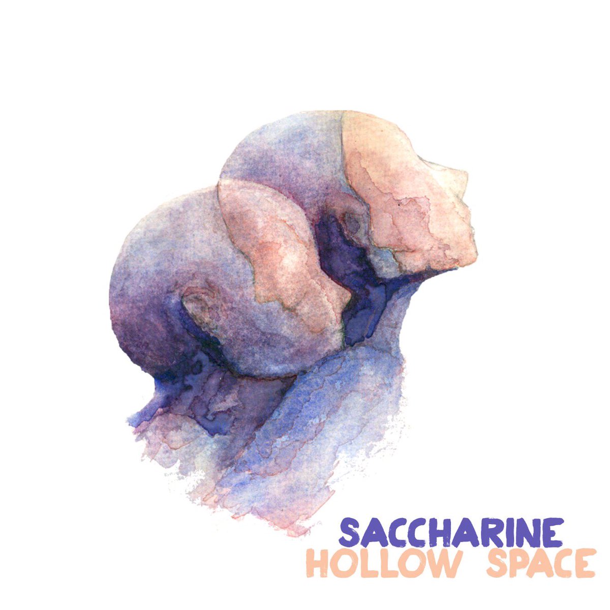 VSmallFlames's tweet image. We have the honour of sharing the lead single from Hollow Space, a forthcoming album from @saccharine_ma out Sept 28th on @disposable_usa. varioussmallflames.co.uk/2018/08/14/son…