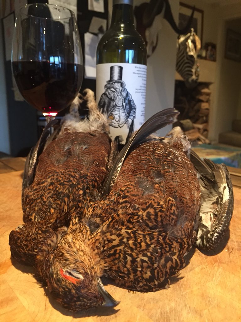 DuncanTweedsThomas tweet media