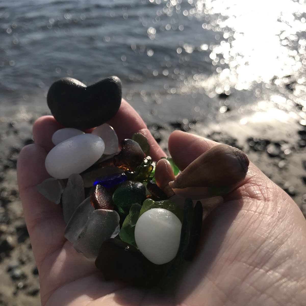 scottshellweier's tweet photo. Addicted to these green little gems! 🏆Come on people PICK UP YOUR ☠️ TRASH!! 🖖🌎 #rewardforpickinguptrash 
#saveacritterdontlitter 🐬#leaveonlyfootprints #scottandshelleyweier #oceanside #northohomes #beachhomes #kooks @seamonsterhomes #heartskipsabeat 💙
 #careforourplanet https://t.co/7xPeQPQA88