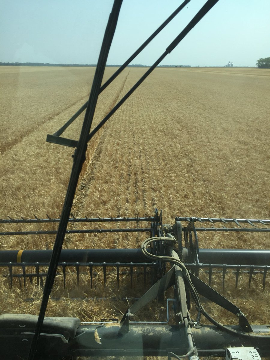 Kennedy Klein tweet media