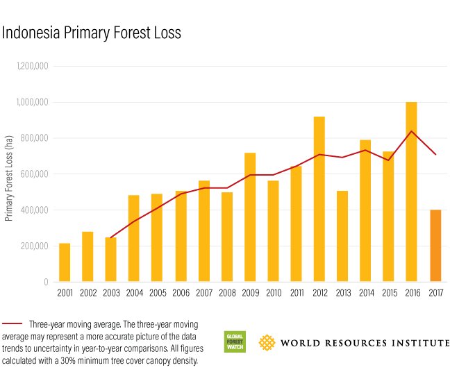WRI Restoration tweet media