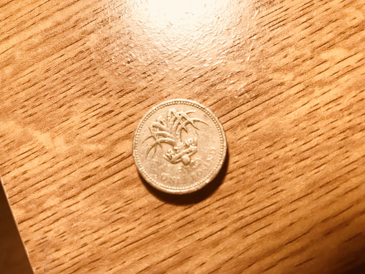 booksandwine76's tweet photo. Oh flipping eck how did I end up with this in my purse? #oldpoundcoin #notlegaltender https://t.co/2JdJ7xZPrl
