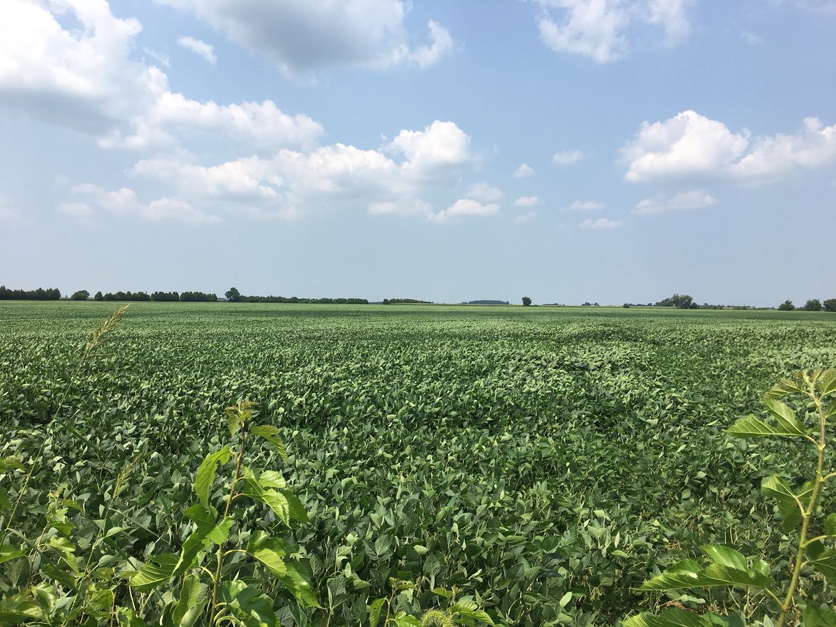 James Tetreault tweet media