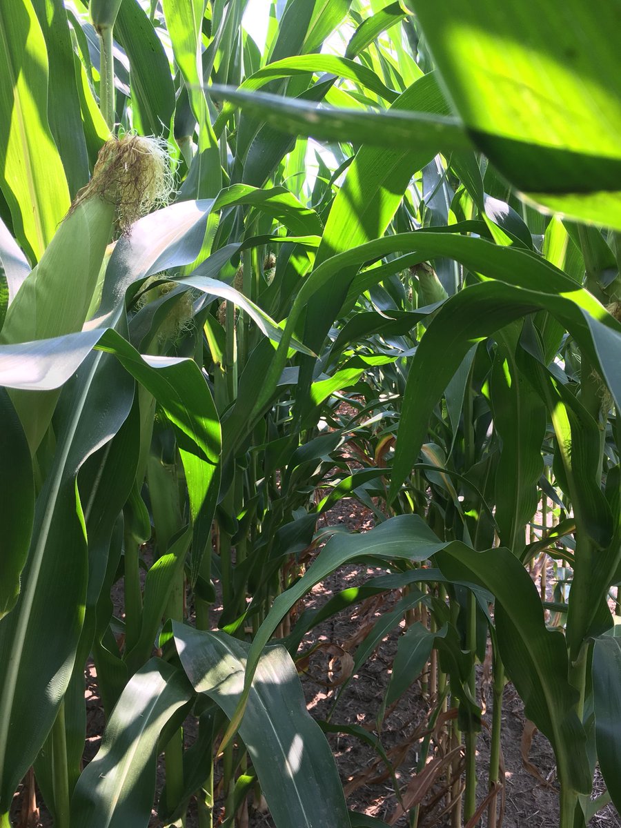 James Tetreault tweet media