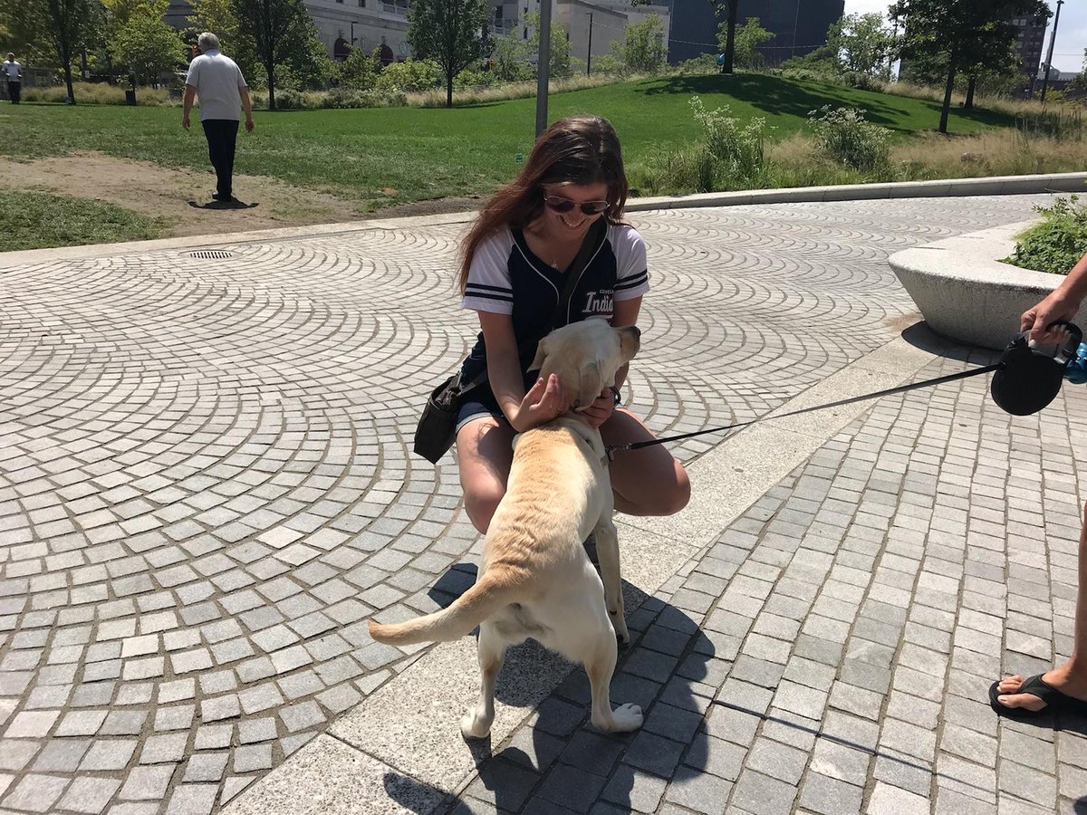 Klimpert93's tweet photo. I saw a dog today. You ever seen a dog? #ncmscavengerhunt https://t.co/hAbX9ZhwBt