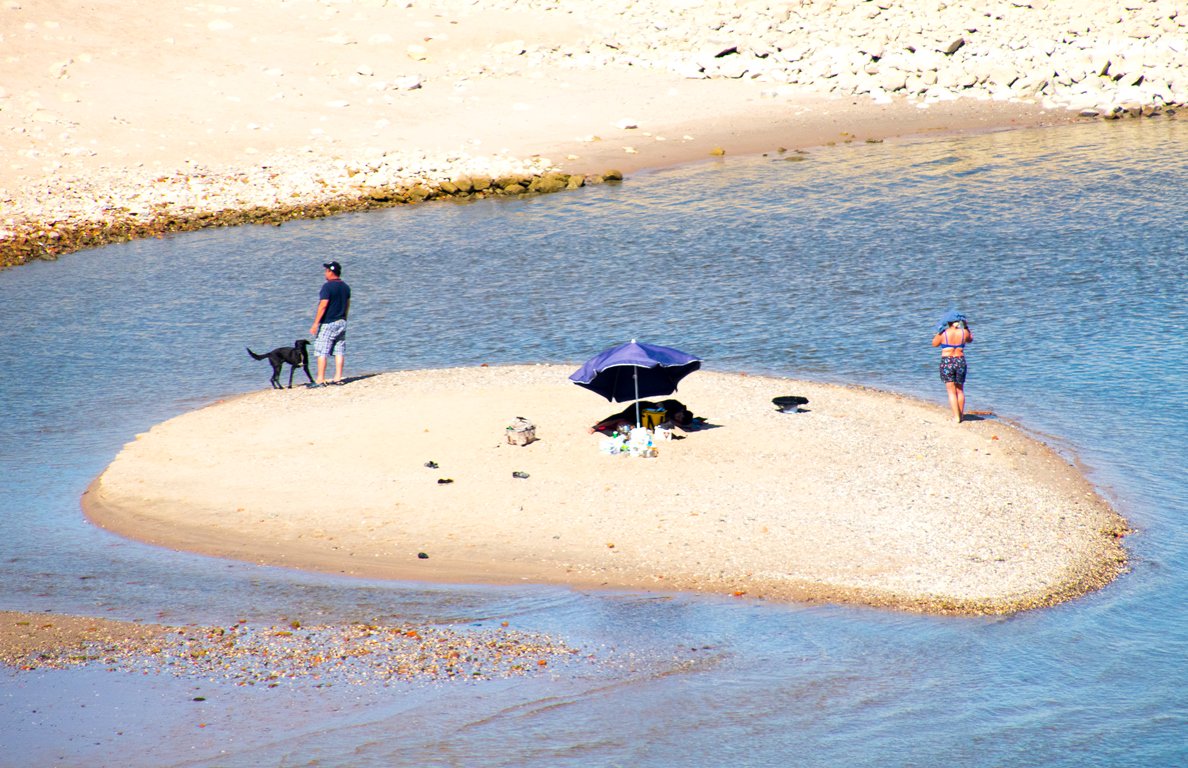 Summer Capital NL tweet media