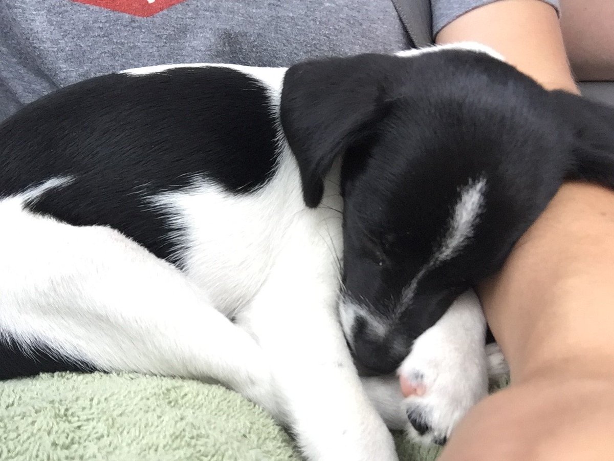 Emily Rast (@RastEmily) | Twitter