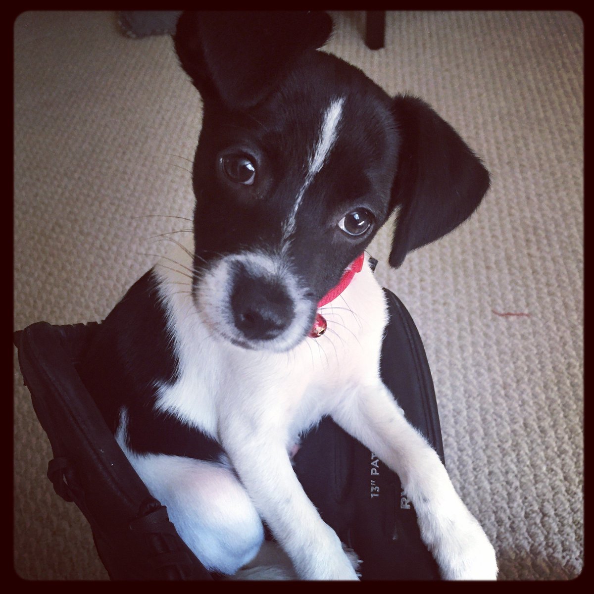 Emily Rast (@RastEmily) | Twitter