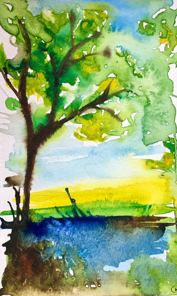 National parks are places where we find the medicine for everyday life called “nature.” Nature can be found close to home too. How can nature be a part of your health? This painter and ranger goes swimming in a local river to let troubles melt into the cool calm water. K. Crowley