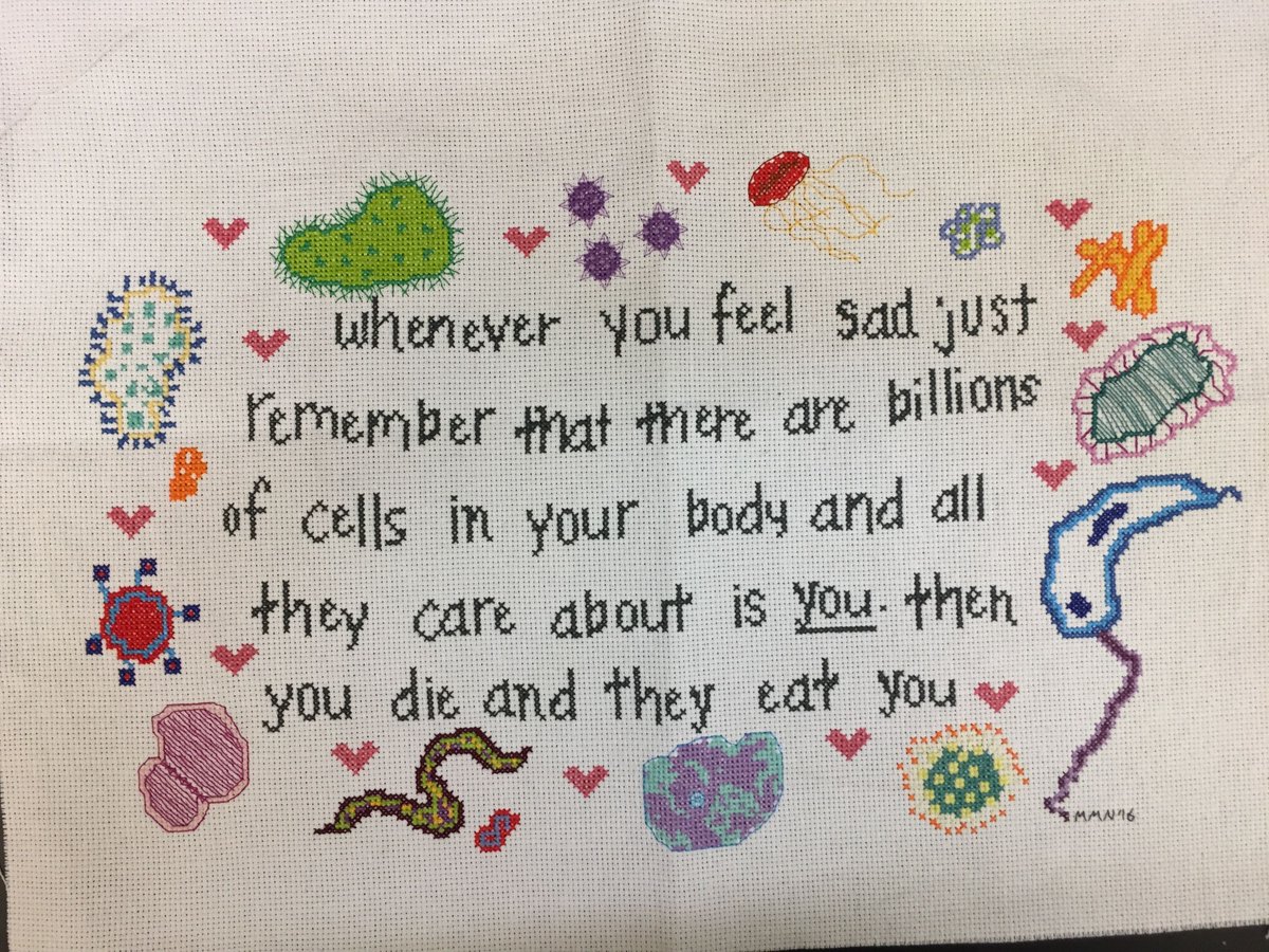markowenmartin's tweet photo. I usually ask students to make "creative projects" in my classes. A couple of years ago, a microbiology student (#Micronaut) made me this. I framed it and have it on the wall of my lab. #MicrobialTruth @univpugetsound @ASMicrobiology https://t.co/2cxf3vkuLe