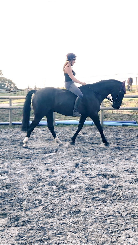 AP EQUINE REVIEWS (@apequine) on Twitter photo 