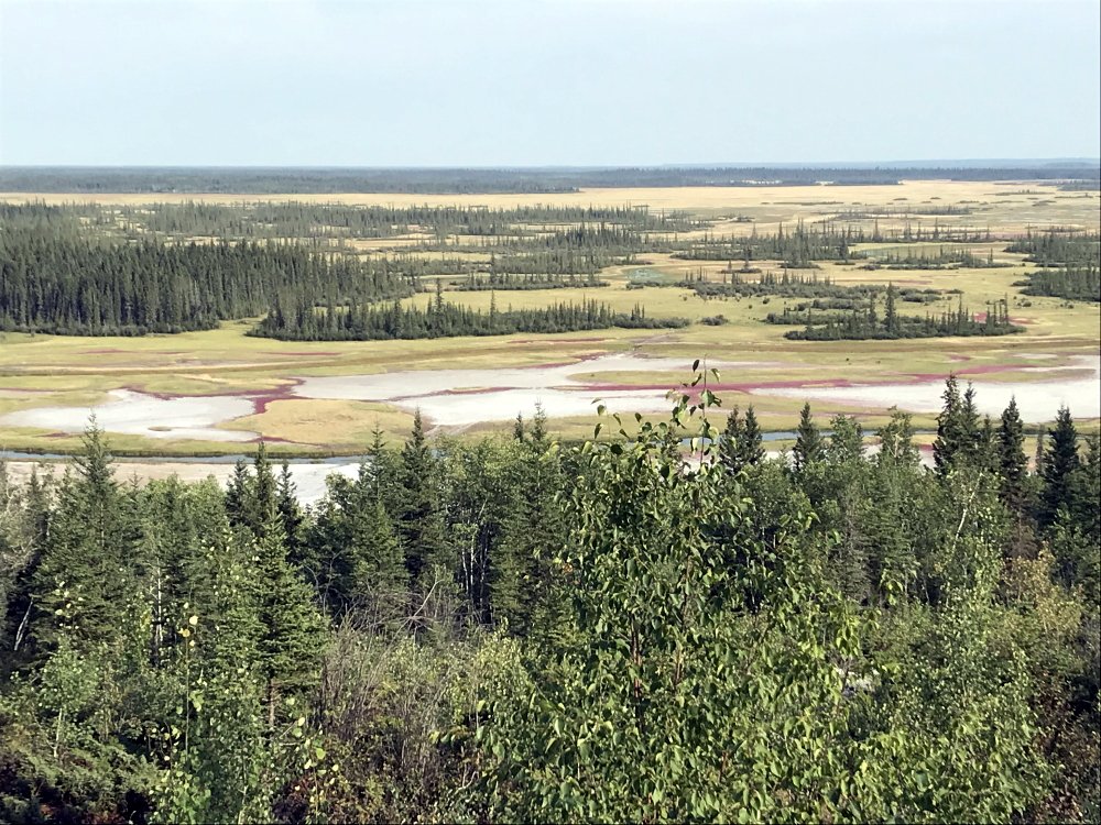 CanGeo's tweet image. Roberta Bondar, Honorary VP of the @RCGS_SGRC, is doing some work in — or should we say above? — Canada's largest national park! Bondar and team are taking aerial footage of endangered whooping crane nests in Wood Buffalo; follow along @RBondarFdn #AMASSflight