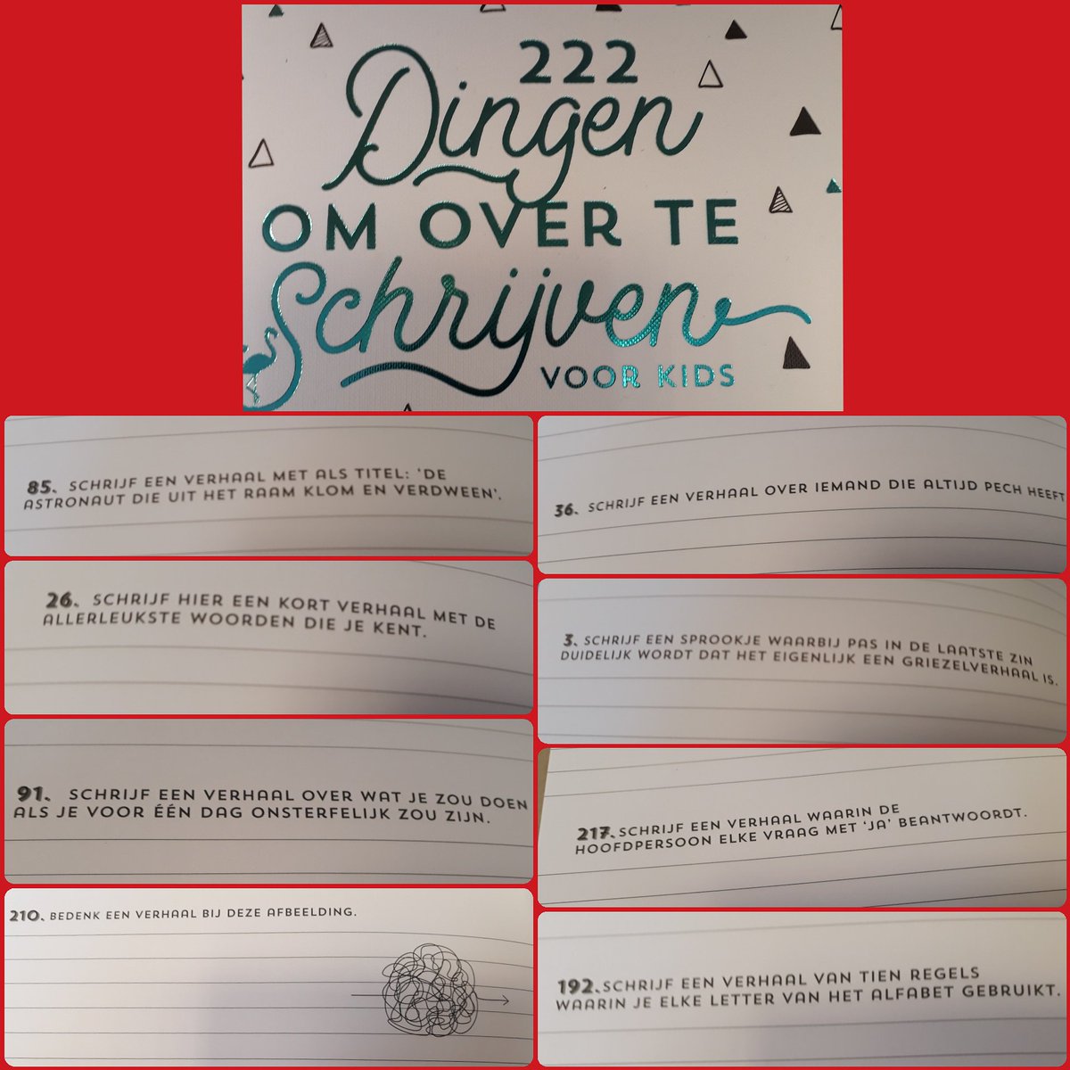 "222 dingen om over te schrijven voor kids" geeft prompts voor verhalen. Eén zinnetje, één idee, één opdracht en dan is het aan jou om een verhaal te schrijven. Een geweldige manier om een talentvolle schrijver te worden.