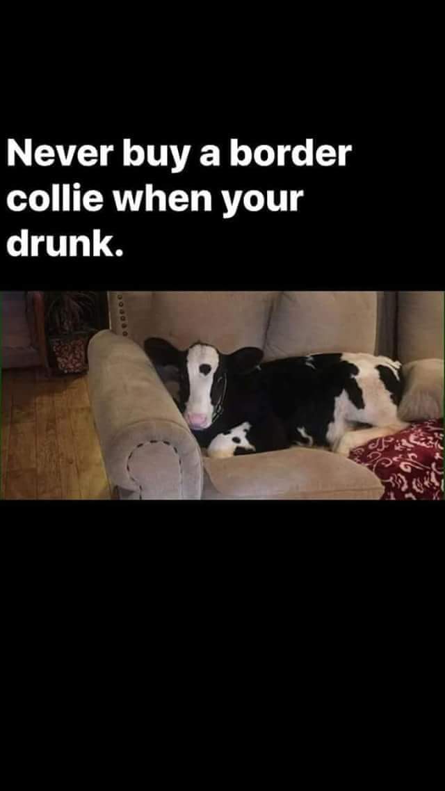 kempy67's tweet photo. Top advice https://t.co/ssvxdS8d0m