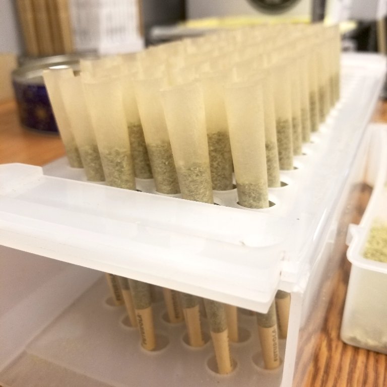 It's #Twofer Tuesday at Level Up #Tempe and #Scottsdale! Get 2 #prerolls for just $10! 🎆
.
.
.
#azmmj #mmj #azmarijuana #azdispensary #prop203 #prop203az #prop203patient #420az #getlifted #hightimes  #medicalmarijuana #medicalcannabis #cannabisculture #arizona #asu