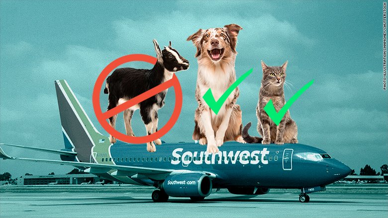 CNN's tweet photo. Southwest Airlines passengers will be allowed to bring only cats and dogs on board as emotional support animals beginning in September https://t.co/abiZRBy9PJ https://t.co/MOJNAVdlOx