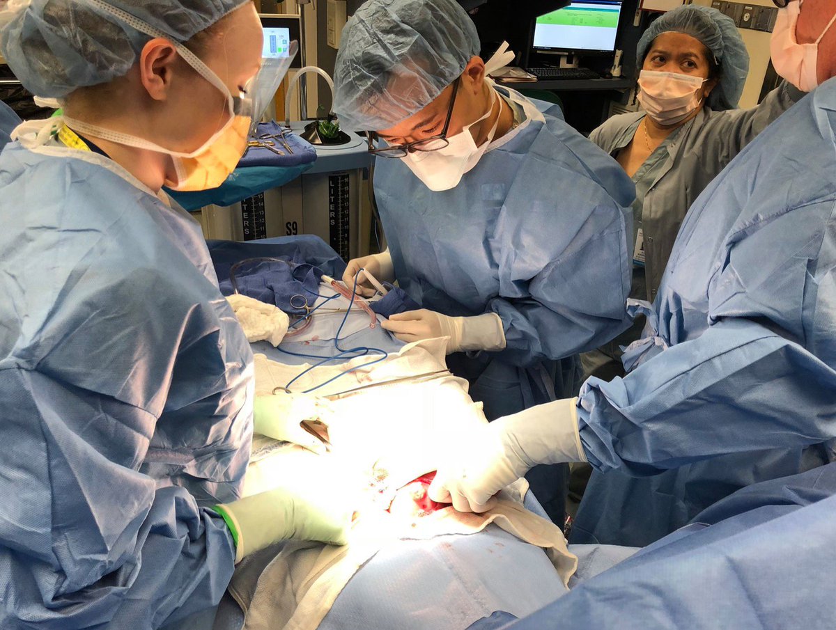 AIG_OUWB's tweet photo. Meet Alex Yang, another FAER Scholar from OUWB! He says, "The FAER fellowship at Yale New-Haven Hospital allowed me to explore a new territory of medicine where the potential for discovery was very real. Under the tutelage of Dr. Kirk Shelley and Dr. Aymen Alian, I examined... https://t.co/hJcC8ZS5EC