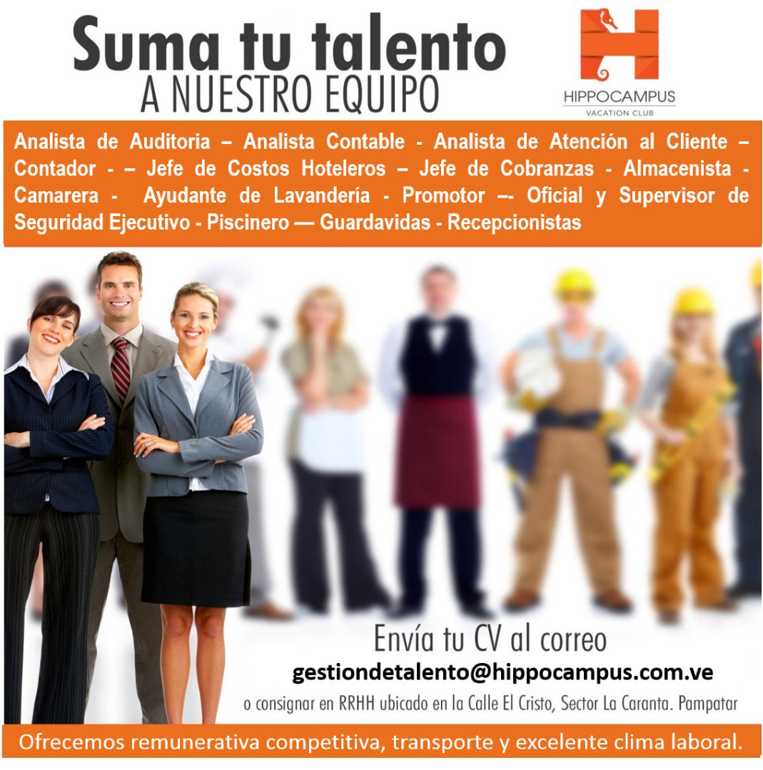 HippocampusVC's tweet photo. Deseas formar parte de nuestro equipo, envía tu CV al correo gestiondetalento@hippocampus.com.ve
Suma tu talento a nuestro equipo.

#Empleo #Oportunidad #Pampatar #IslaDeMargarita #HVC #Hippocampusvc https://t.co/LJm2oj5ims