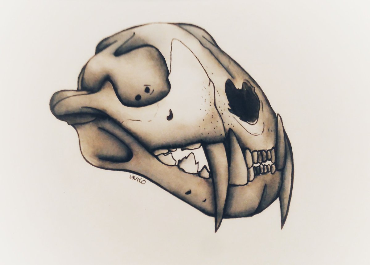 BakaUnico's tweet photo. Au départ c'était juste un défi avec un pote de dessiner un crâne par jour d'après photo pendant la semaine
Donc voilà je lance un #skullweek :3 https://t.co/KJ9CDacQuj