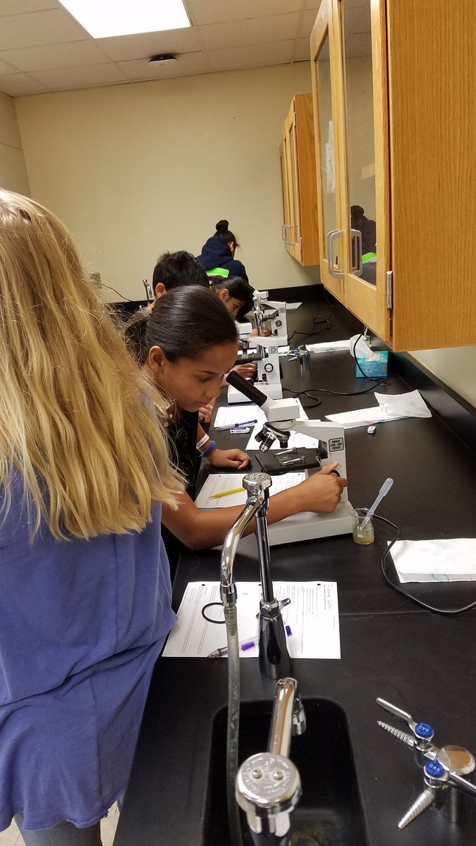 Guy Crotsley (@rtmsguy) on Twitter photo #rtmswolves exploring VanLeeuwenhoek's "little beasties" in Mr. Prather's science classes!@pinnock_neil #rtmswolves exploring VanLeeuwenhoek's "little beasties" in Mr. Prather's science classes!@pinnock_neil
