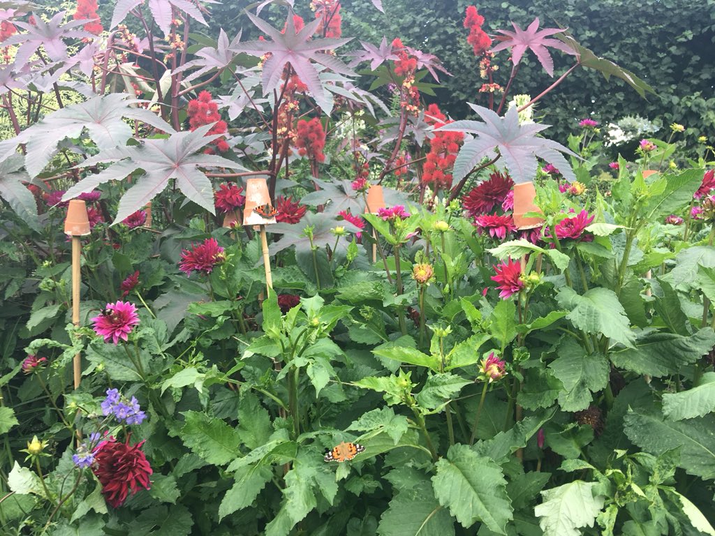 steveksn's tweet image. My life right now. Eat. Run. Eat. Run. Eat. Run. Day 592 of running and the problem of being on holiday is I appear to be eating more than I’m running. Beautiful here in Norfolk and Suffolk. #ukrunchat #runningproblems