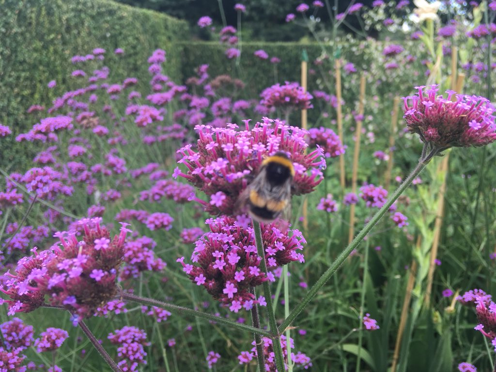 steveksn's tweet image. My life right now. Eat. Run. Eat. Run. Eat. Run. Day 592 of running and the problem of being on holiday is I appear to be eating more than I’m running. Beautiful here in Norfolk and Suffolk. #ukrunchat #runningproblems
