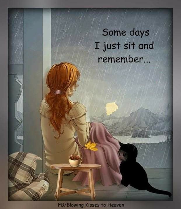 وبَشِر الصابرين (@janatin_w_aion) on Twitter photo 