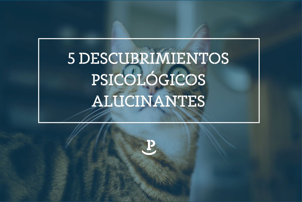 PsicoSaludTf's tweet photo. La psicología lleva años preguntándose por qué actuamos de la manera en que lo hacemos. En este artículo encontrarás 5 descubrimientos psicológicos alucinantes que dan respuestas a ésta pregunta.
https://t.co/LDRA2jIxKh https://t.co/ElQJzESUXt