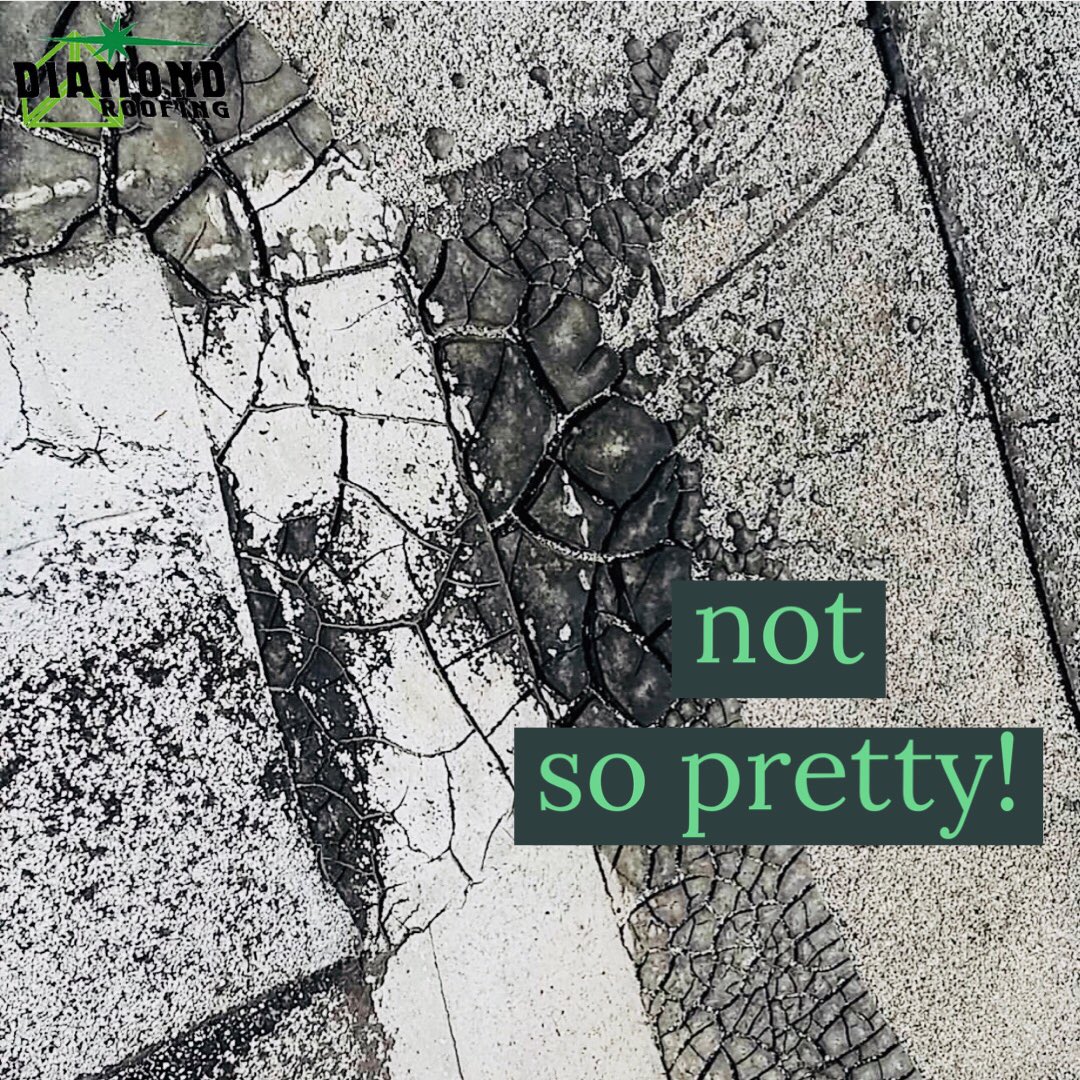 diamondroofing's tweet image. Heard of “alligatoring?”🐊
#alligatoring affects #asphalt &amp;amp; #modbit roofs, splitting the material; allowing water &amp;amp; debris to penetrate the roof system. We 💚 beautiful alligators, but don’t let this happen to your #commercialroof. Call our investiGATORS today! #thediamondway 🐊