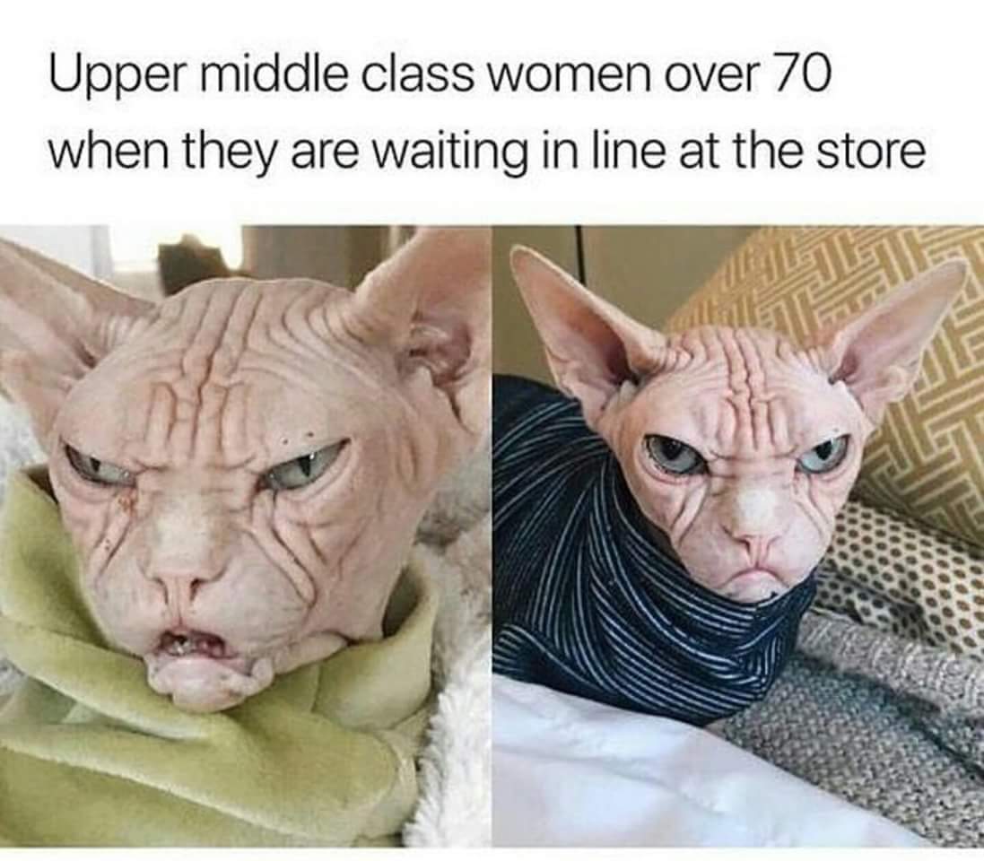 YourDoseOfFun's tweet photo. «Why so accurate?» - u/foreverwasted https://t.co/rPlKv7w4d7