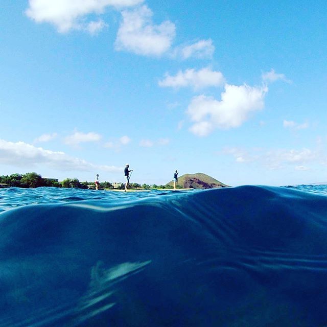 mauisup's tweet photo. Rule #1 of SUP life: Explore. Where will your next trip take you? #traveltuesday https://t.co/7fKDXjqs7L