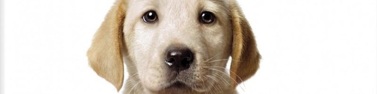 Listly Entertainment tweet media