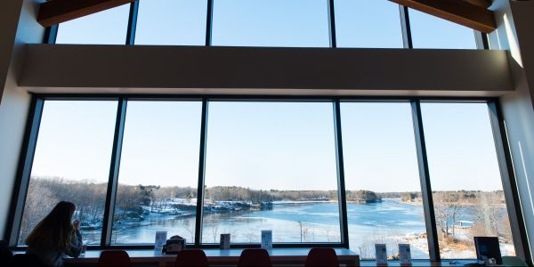 ABCbirds's tweet image. Colleges and universities are joining the movement to keep #birds from hitting windows. Story via @chronicle featuring our expert Dr. Christine Sheppard: buff.ly/2w25VKV #birds #glasscollisions