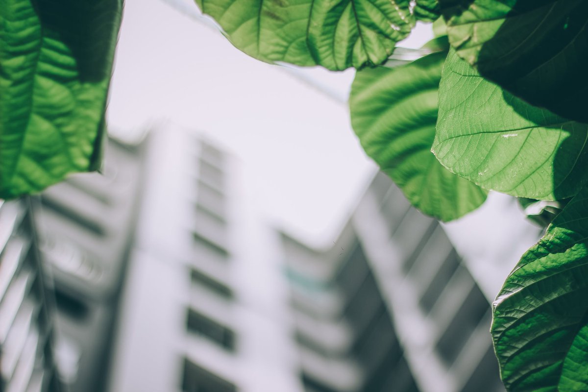ACEEEdc's tweet photo. What lessons can we take from seeing the first net zero ready #buildings through the finish line? @CLEAResult ’s Cindy Strecker will brief us today. #SummerStudy18. https://t.co/n5p83z5Vbj