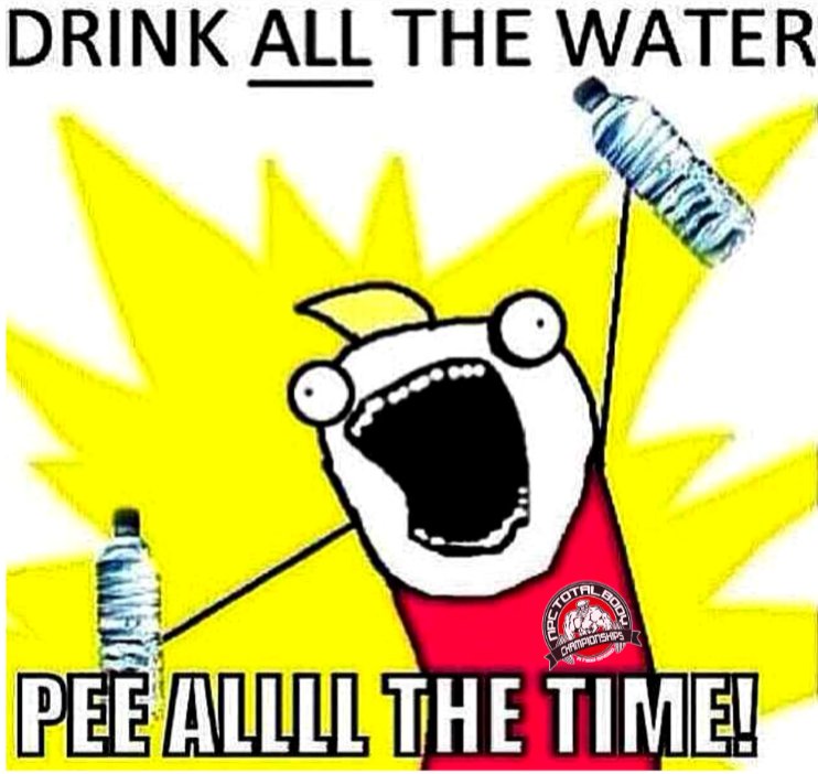 JudyGaillard's tweet image. You know what time it is!! #PeakWeek 
#4daysOut from 2018 #NPC #TotalBodyChampionships!!! 
#TotalBodyChampion #NewBreed #WheresMyWaterJug
#TotalBodyChampionship #NpcMS #MyTupelo