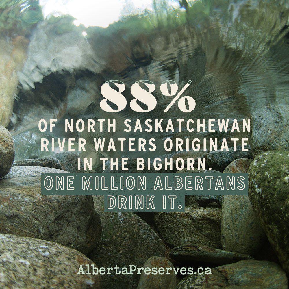 albertapreserve's tweet photo. We want to protect our water and our legacy! Check out https://t.co/1ef9yp3vMK to share your support to protect the #BighornBackcountry as a #wildland park! https://t.co/hSfA1cyxiW