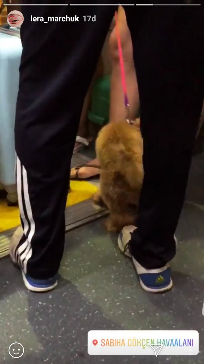 BİZE GERİİLİM YAŞATMAK ZORUNDA MISIN KORKU FİLMİNİN BAŞROLÜ GİBİSİN BİR DE KONUM KOYMUŞ