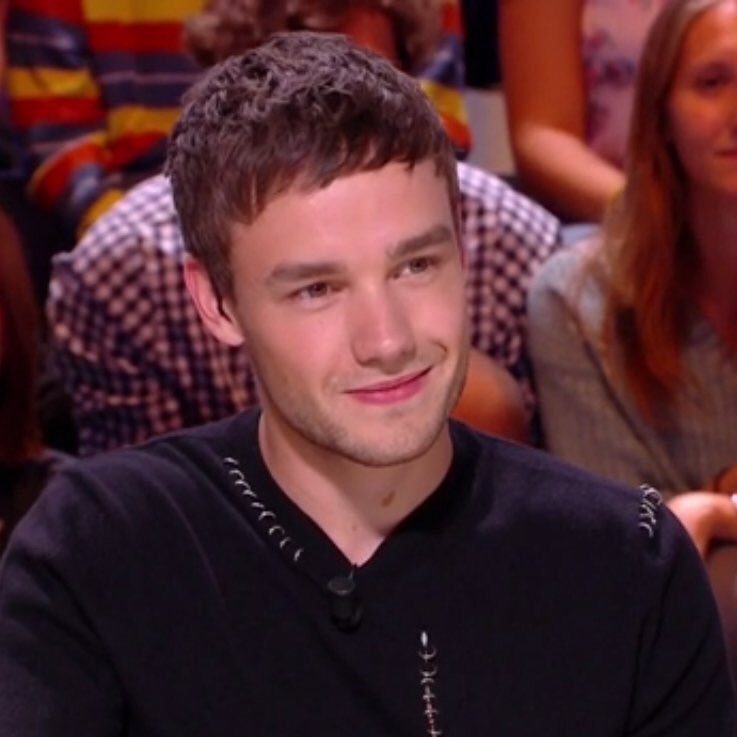 letiicialine's tweet photo. liam payne é a coisa mais linda que existe no mundo todo e eu o amo com todo meu coração 

#30DaysForLP1 https://t.co/do5617tZah