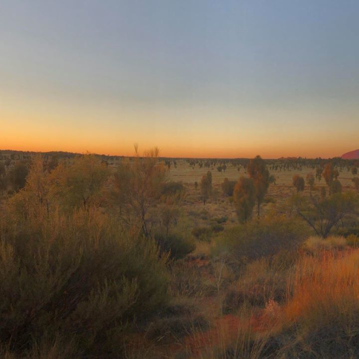 ShortStayDirect's tweet image. ift.tt/2Gnmxkb