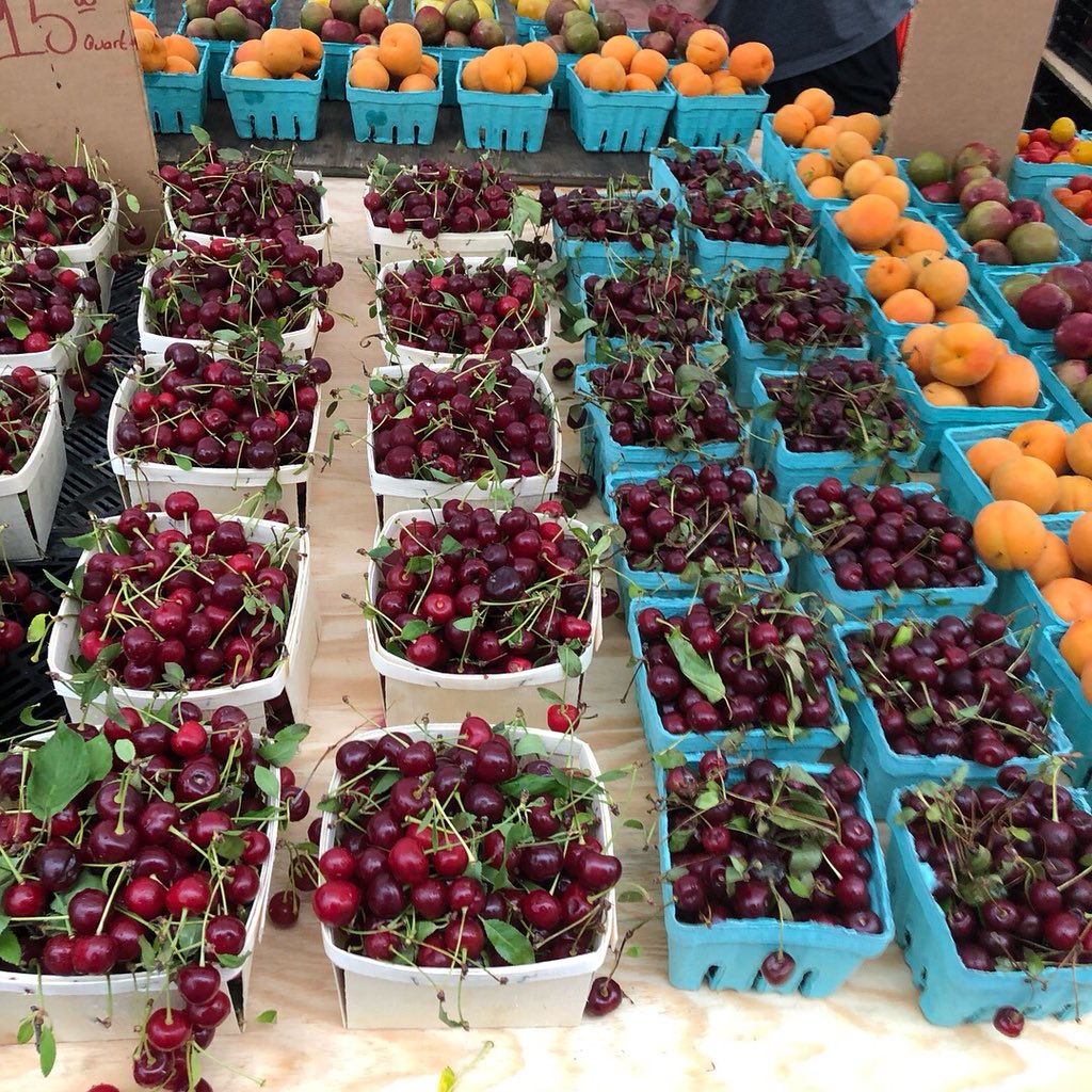 sistinany's tweet photo. Sistina and Caravaggio only buy from local farmers market. This is the prove of Union Square Market!! #onlybuylocal #newyork #dinner #organicfood #unionsquaremarket #unionsquare #uppereastside #uppereastsidenyc https://t.co/r4RVCLcfJy