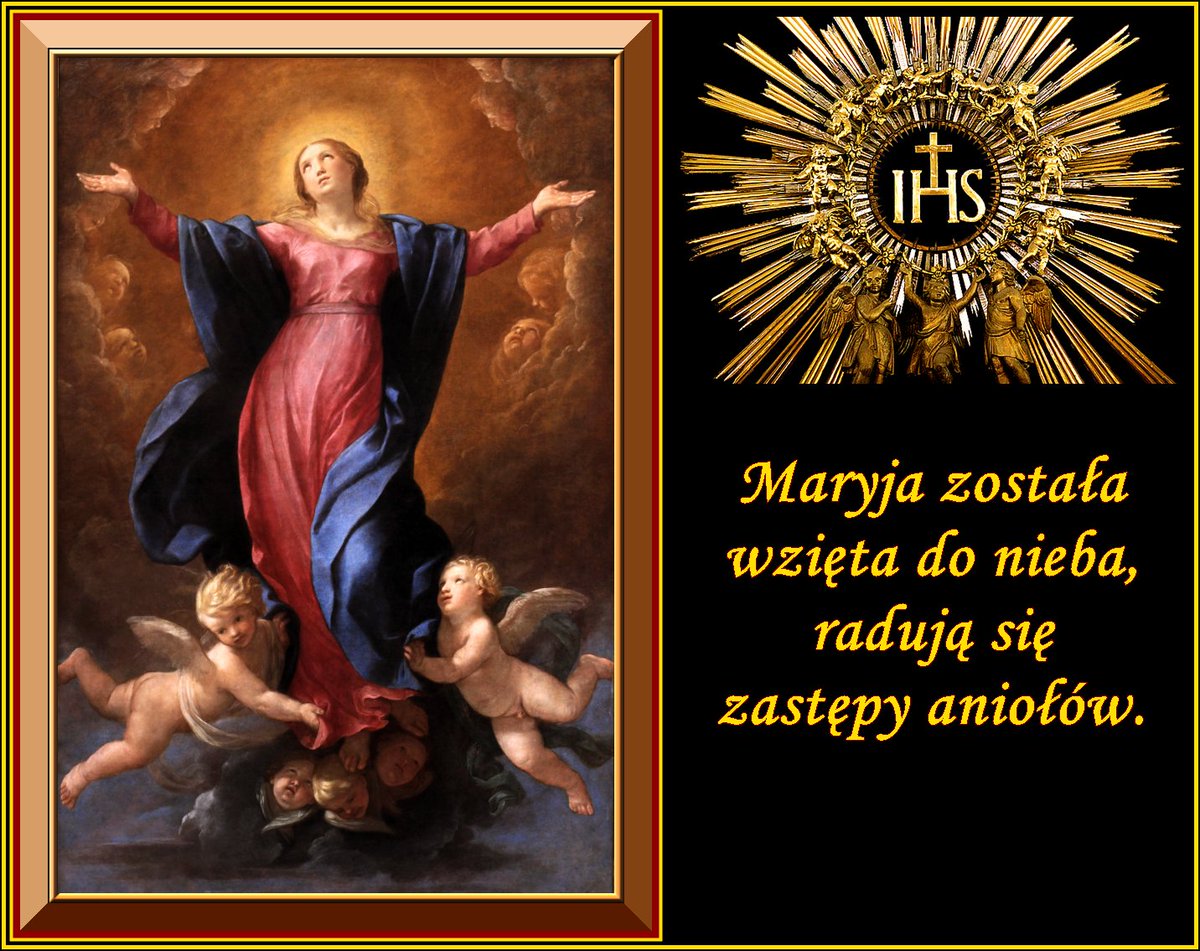https://pbs.twimg.com/media/DkmAiQpXcAEA08i.jpg