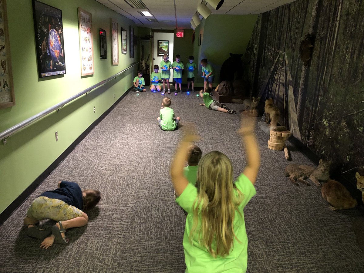 kellyfeimster's tweet image. #Beebots and #spheros were fun with the K-2 coding campers today! @NGoodnightTeach @HDESMediaV @RSSinformation #rssaig #rssmedia