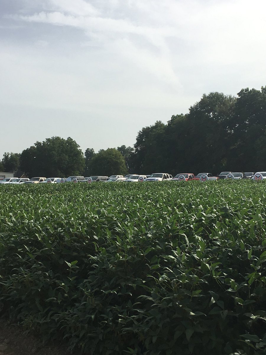 Innvictis's tweet photo. Leland did not disappoint! Amazing turnout and amazing representation! Great job @AgDweeb @OliviBryan @Mize1Mize for hosting one outstanding field day! On to the next one. Ask your local @PinnacleAgLLC rep for more information. @Innvictis @SeedMission #growtoyield https://t.co/3DLmfoJWY0