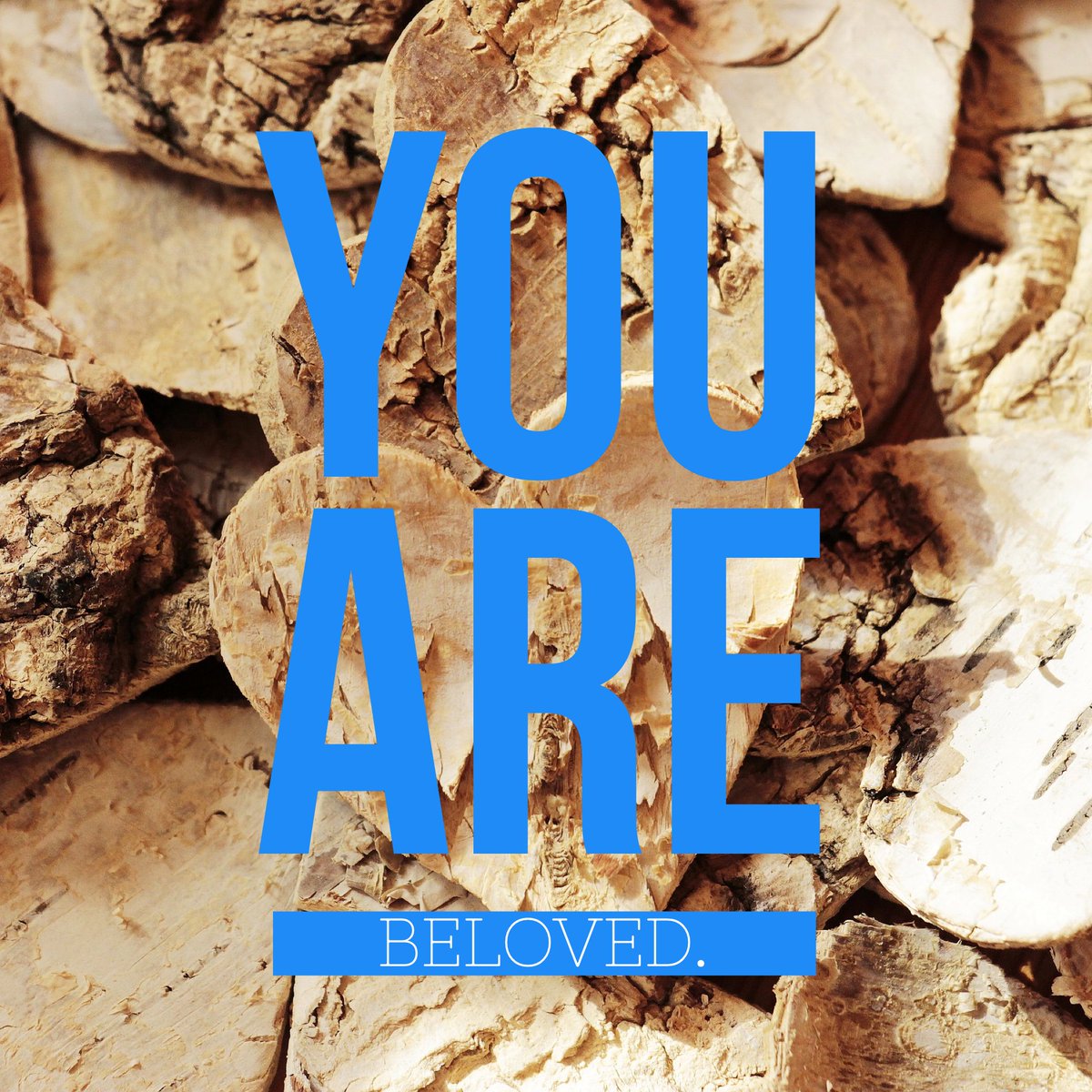pc3newbern's tweet photo. “You are mine. You are chosen.” -God
#ThisWeekAtChurch #InHisImage #reminder https://t.co/s7SiHr59n3