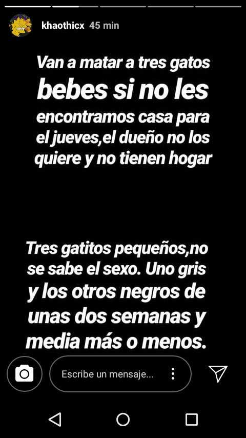 Patorai_'s tweet photo. URGENTE 

DIFUNDID POR FAVOR 

ME HARÍAIS UN GRAN FAVOR https://t.co/MN8fUC8FIU