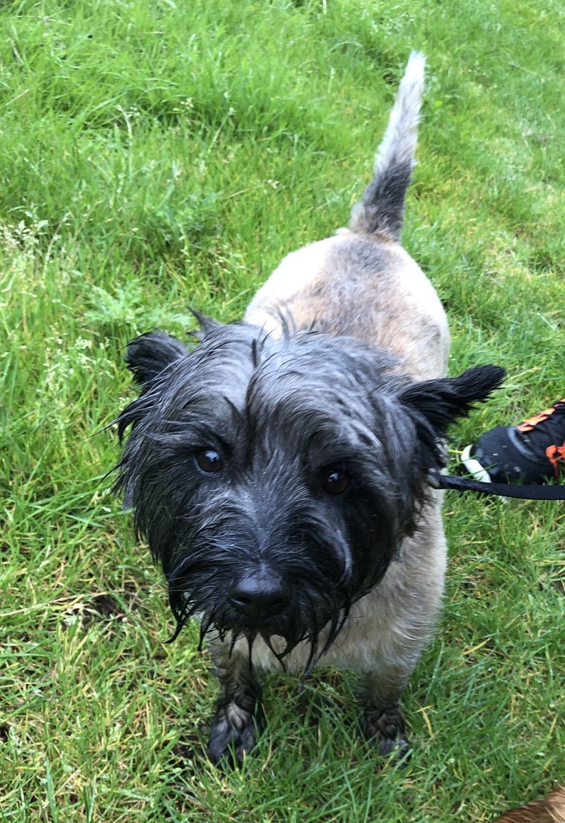 WellDogWalker's tweet photo. https://t.co/QZmnqw6k5E