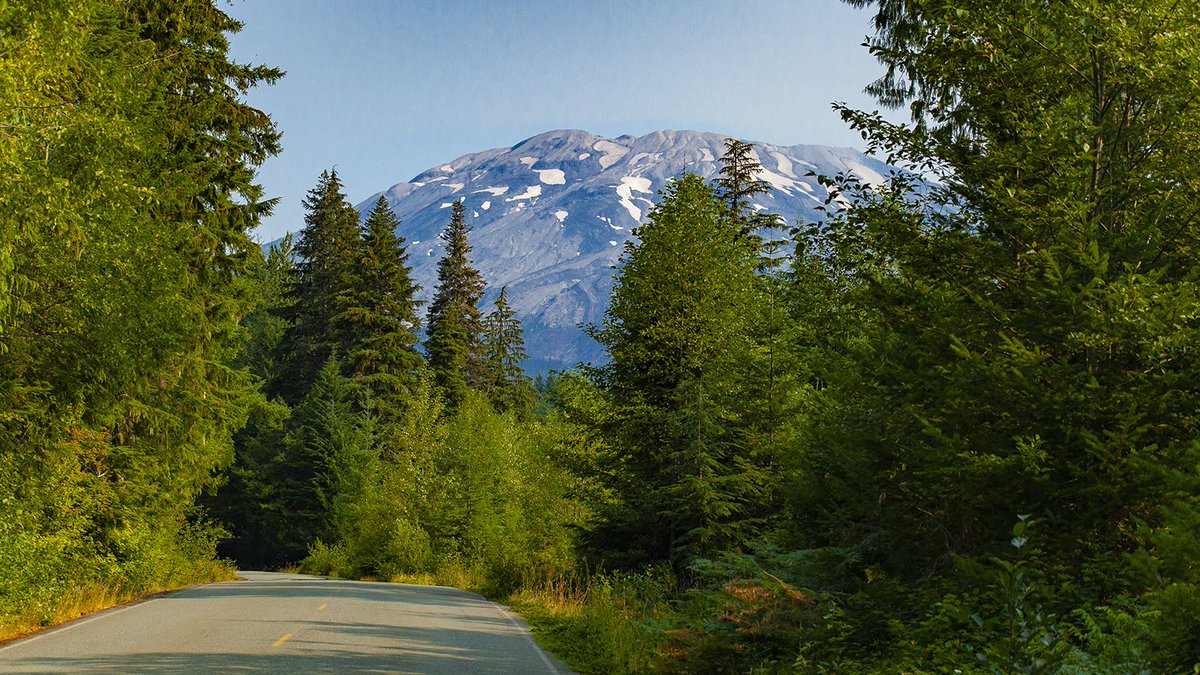 KogallaLLC's tweet photo. "Mt. St. Helens" We were here last week (8/8-10) for the Bigfoot 200 ultra race. Met lots of great folks, and deepened our respect for the runners. Being near Mt. St. Helens was sobering.  It's hard to comprehend the cataclysmic event of May, 18, 1980. https://t.co/t8xuuwUY4w