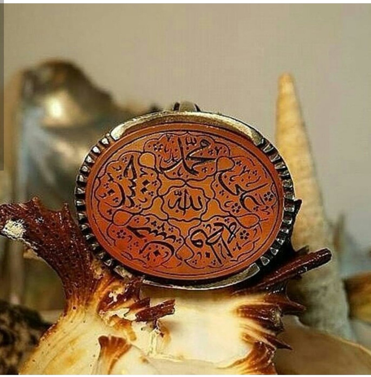 kosusbj's tweet image. الشيخة الروحانية ام علي
فك سحر،جلب الحبيب للزواج ، حل المشاكل بين الزوجين، 
ابطال المس والعين والحسد
تيسير امور الحياة باذن الله00905538261546تواصل وتس