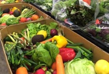 abcbrisbane's tweet image. Drought could cause veggie prices to skyrocket.
ab.co/2BcdaFT